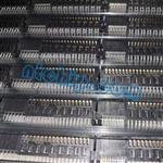 10121505-320424DLF Image